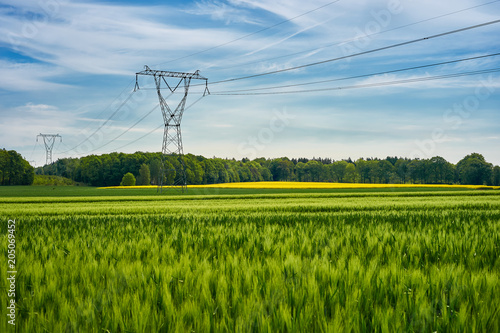 Fototapeta High voltage poles standing in a field under a blue sky