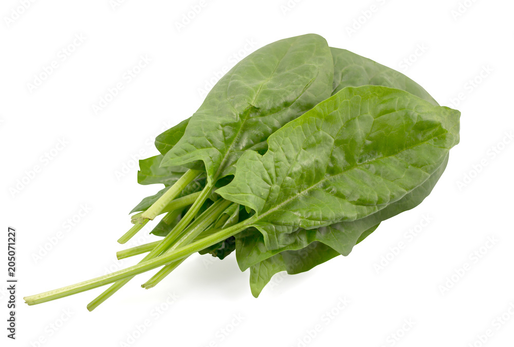 Fresh green spinach, spinach leaves close up isolated on white background with clipping path, healthy concept. Fresh green spinach, spinach leaves close up isolated on white background with clipping path, healthy concept.