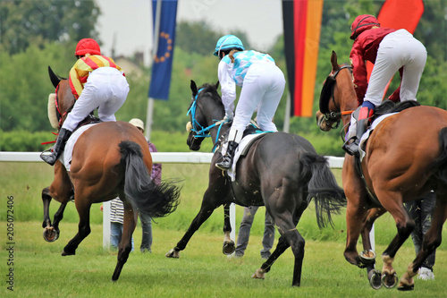 Pferderennen (Galopp) photo