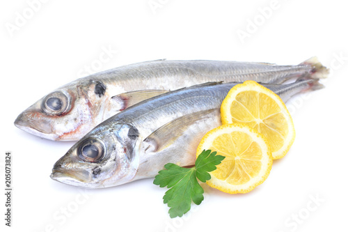 Fish horse mackerel
