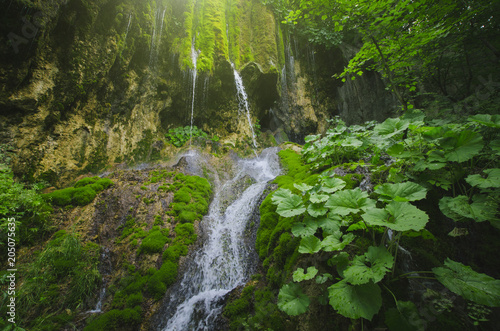 waterfall and green plants in tropical landscape