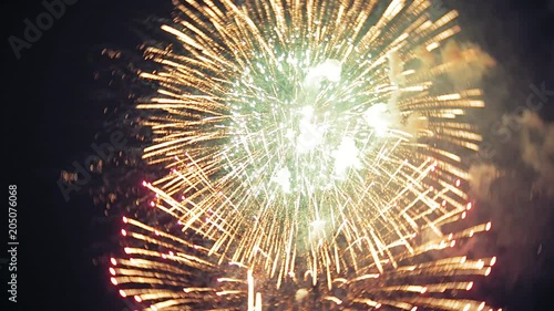 Fireworks light up the sky with dazzling display