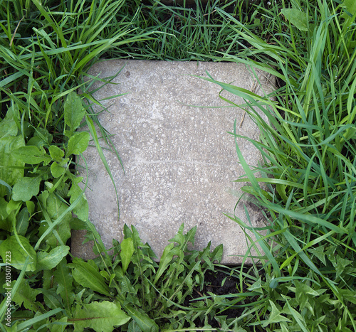 The stone in a grass