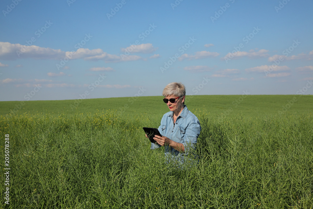Female agronomist or farmer examining green canola field using tablet, rapeseed plant in spring Female agronomist or farmer examining green canola field using tablet, rapeseed plant in spring