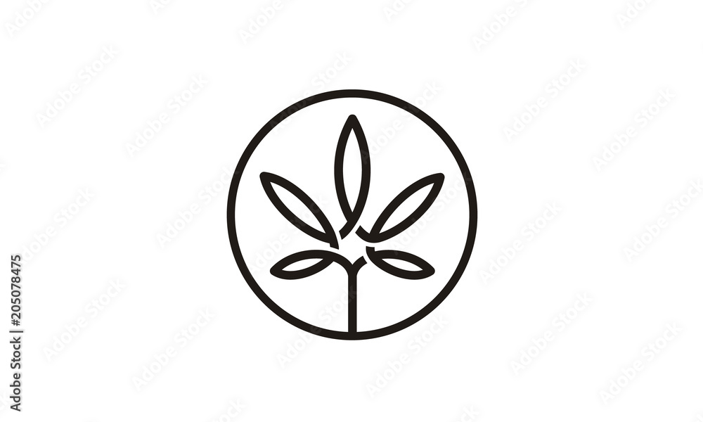 Pot Hemp Cannabis Marijuana Leaf CBD Logo design inspiration Pot Hemp Cannabis Marijuana Leaf CBD Logo design inspiration