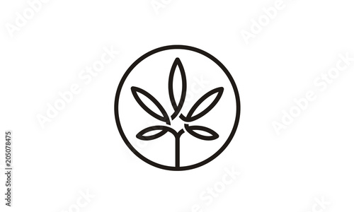 Pot Hemp Cannabis Marijuana Leaf CBD Logo design inspiration