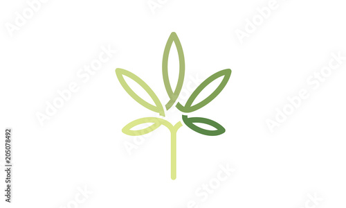 CBD Cannabis Marijuana Pot Weed Hemp Leaf with Line Art style Logo design