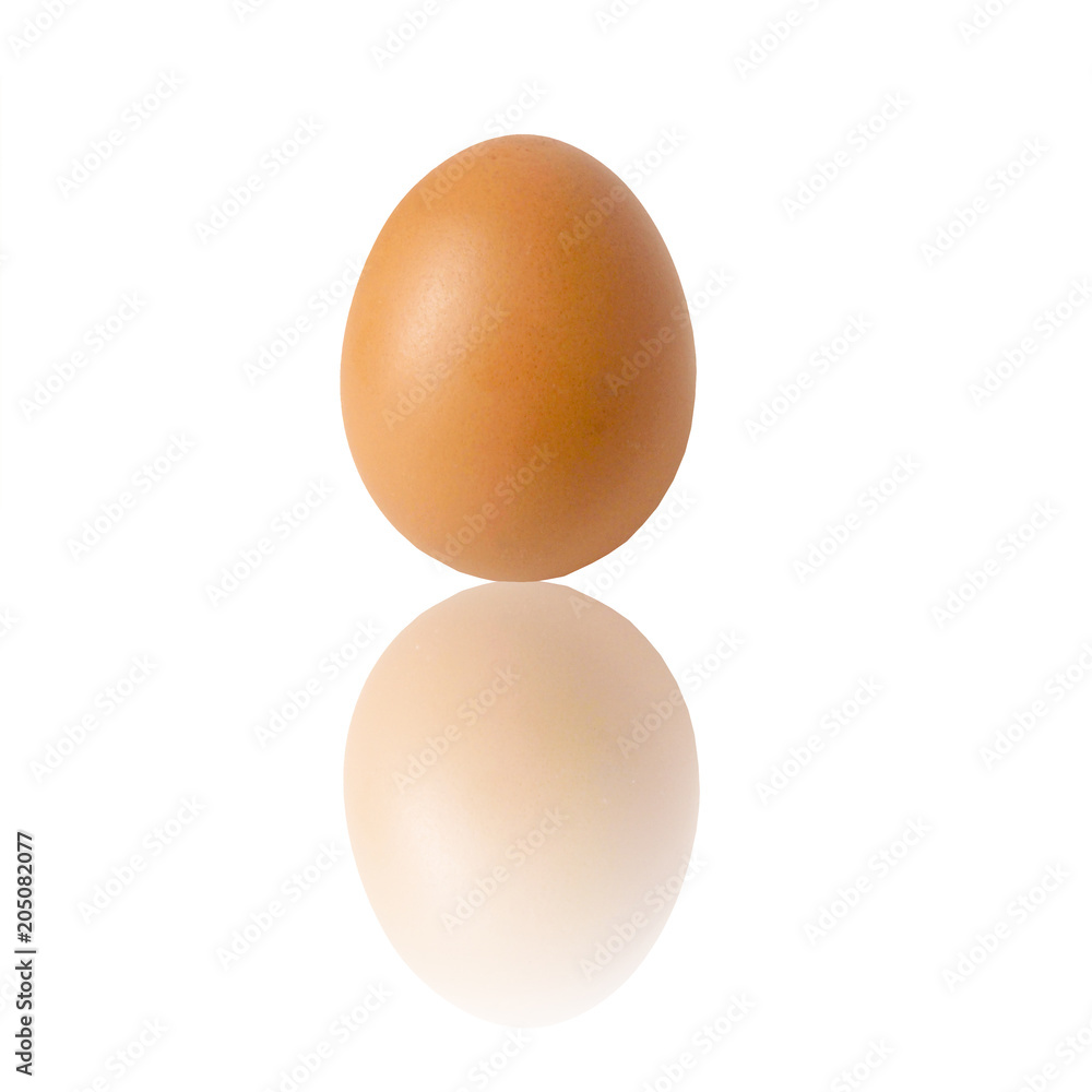 chicken egg and shadow on white background chicken egg and shadow on white background