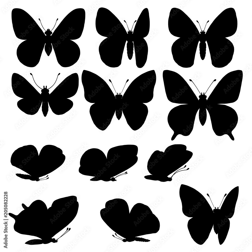 vector set of butterflies vector set of butterflies