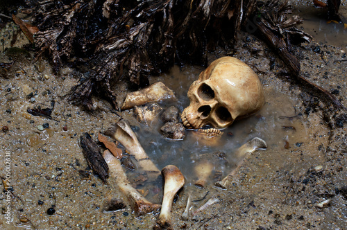 Skull and bones in pit which has flood in raining day on scary graveyard area
