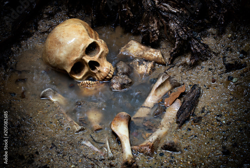 Skull and bones in pit which has flood in raining day on scary graveyard area