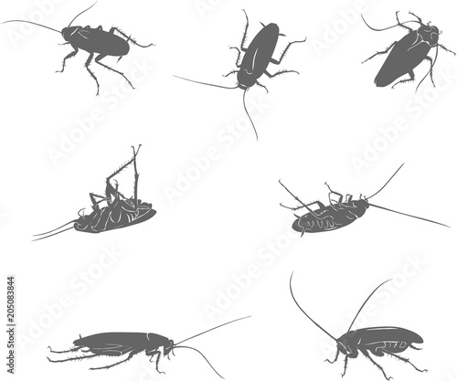 cockroach, drawing of a black cockroach, isolated silhouettes © gjan62