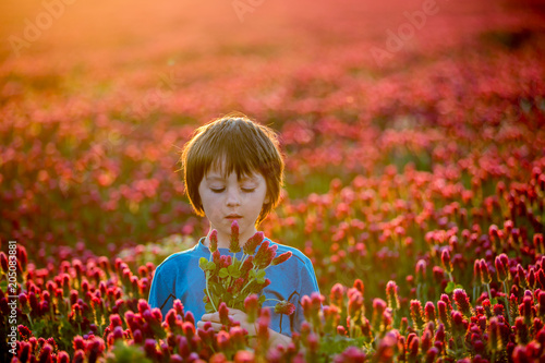 Beautiful child in gorgeous crimson clover field on sunset, holding bouquet of freshly gathered spring flowers