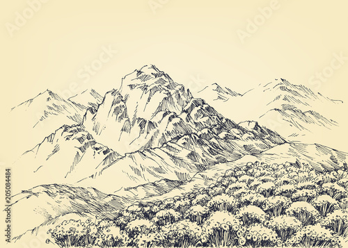Mountain panorama and a beautiful alpine meadow