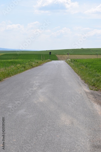 Alleeweg bei Polch photo