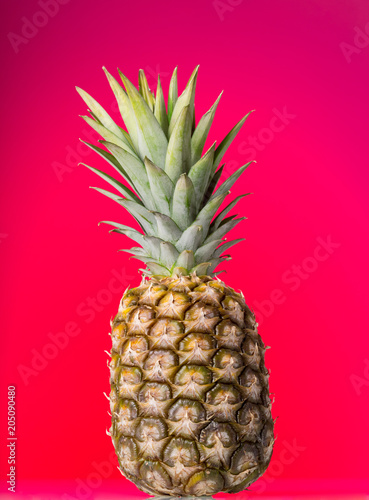 Large pineapple with peel, and stem with leaves on pink background