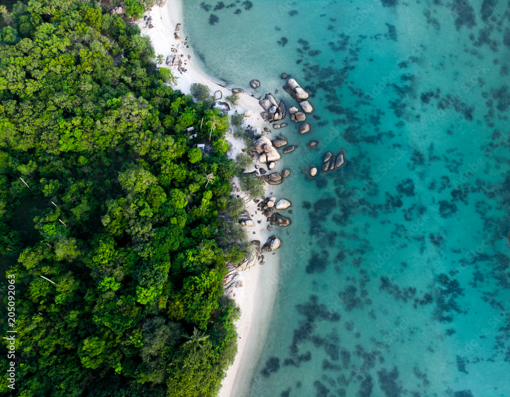aerial view of landscape with rainforest near the rocky beach and turquoise sea