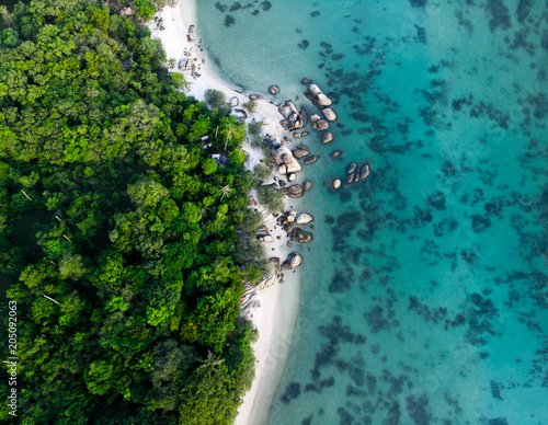 aerial view of landscape with rainforest near the rocky beach and turquoise sea