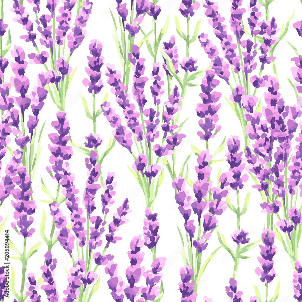Fototapeta Wzór kwiaty lawendy. Akwareli naturalna ilustracja Provence ziele