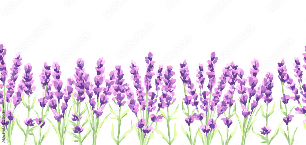 Obraz Wzór kwiaty lawendy. Akwareli naturalna ilustracja Provence ziele