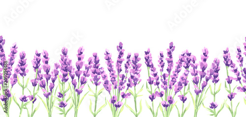 Obraz na płótnie Wzór kwiaty lawendy. Akwareli naturalna ilustracja Provence ziele