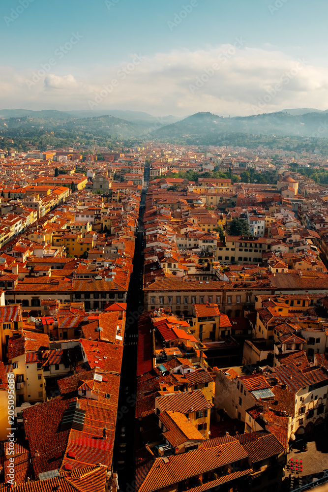 Obraz premium Journey to Italy. Architecture and sights of Florence