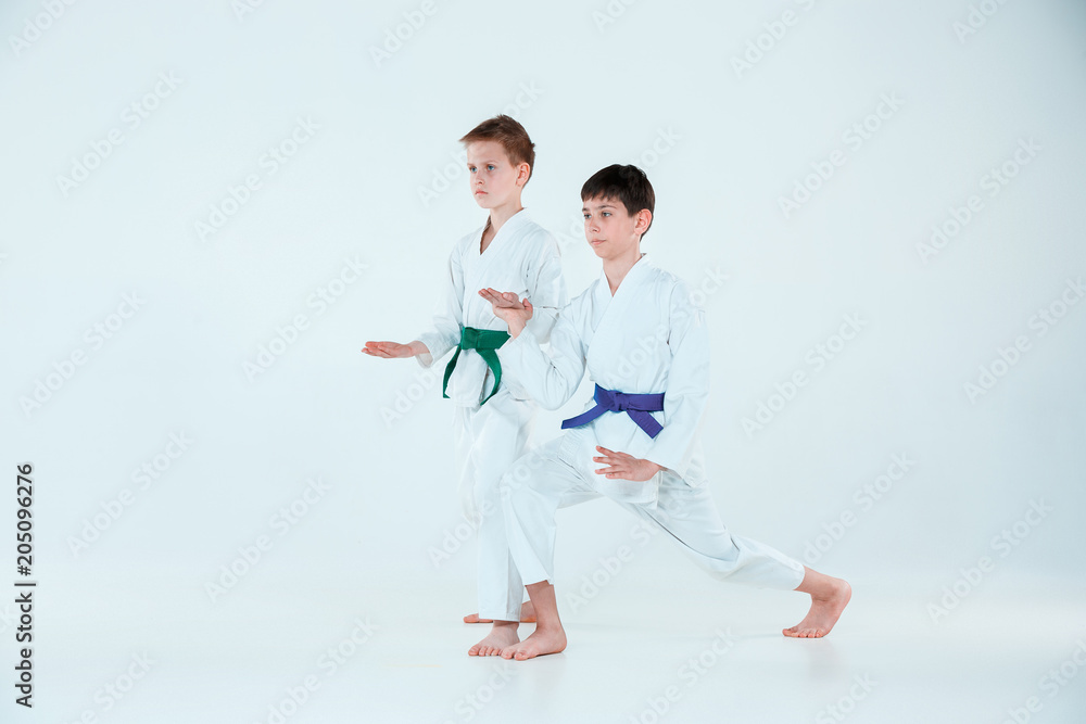 The boys posing at Aikido training in martial arts school. Healthy lifestyle and sports concept The boys posing at Aikido training in martial arts school. Healthy lifestyle and sports concept