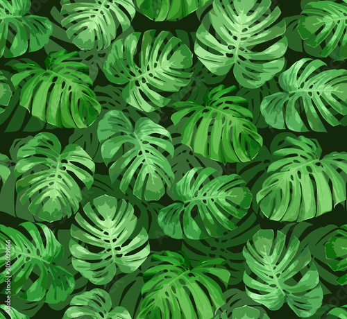 Tropical seamless pattern with green monstera leaves. Tropical vector background for print or textile.