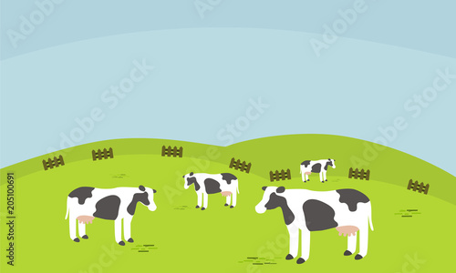 cows farm in the grassland mountain view.