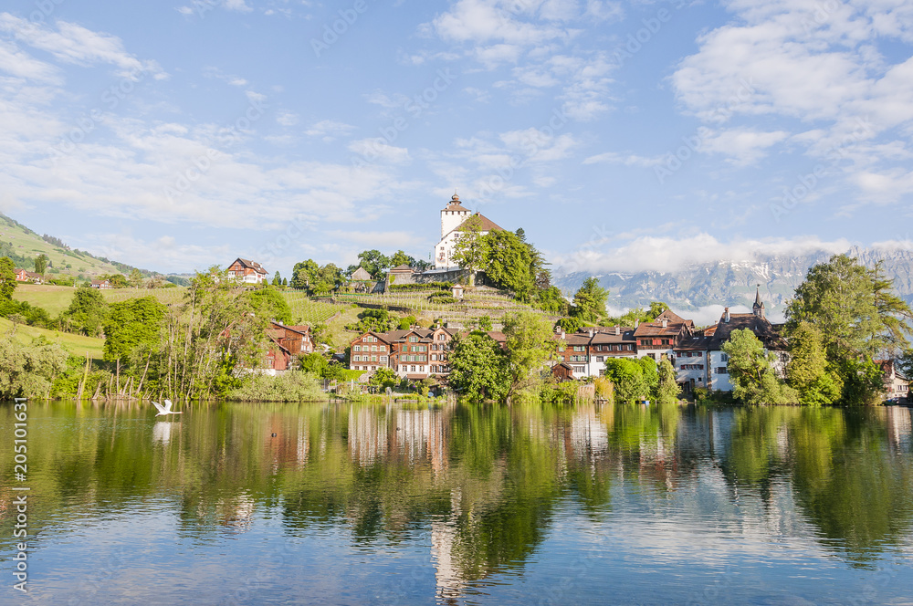 Werdenberg, Buchs, See, Schloss, Weinberg, Seeufer, Rheintal, Uferweg, Ostschweiz, historische Häuser, Frühling, Alpen, Schweiz Werdenberg, Buchs, See, Schloss, Weinberg, Seeufer, Rheintal, Uferweg, Ostschweiz, historische Häuser, Frühling, Alpen, Schweiz