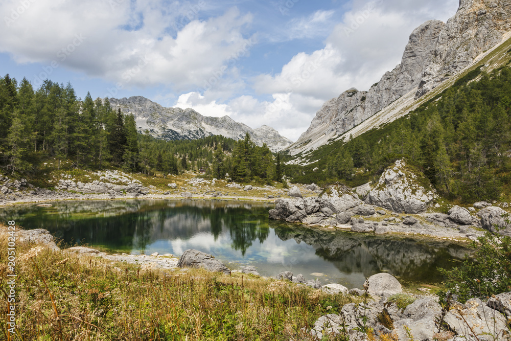 Valley of the seven lakes in Triglav national park during summer