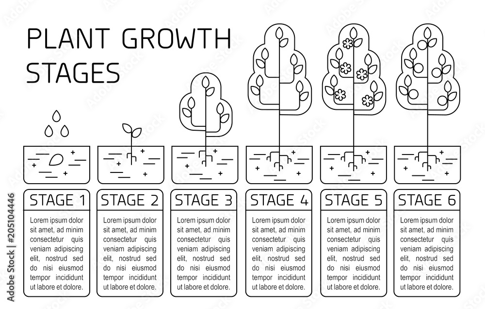 Plant Growth Chart Template