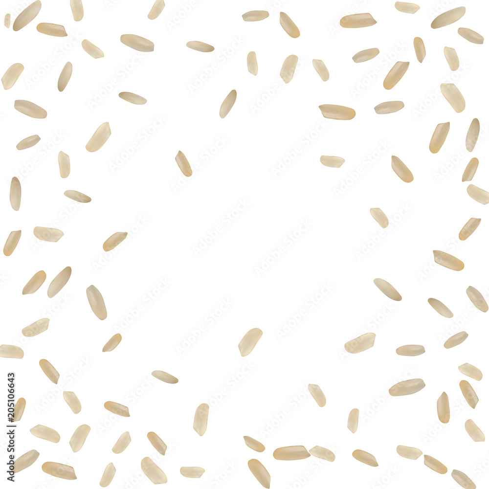 Realistic Vector Rice Pattern Realistic Vector Rice Pattern