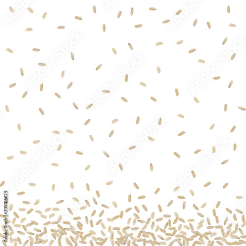 Realistic Vector Rice Pattern