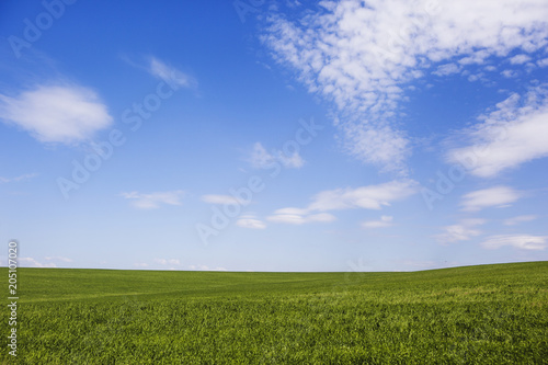 Green field and blue sky. Russia