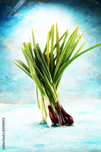 bunch of red and white spring onions