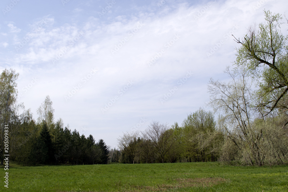 Beautiful green park with blue sky with clouds Beautiful green park with blue sky with clouds