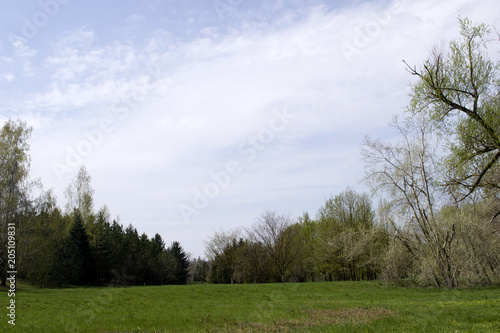 Beautiful green park with blue sky with clouds