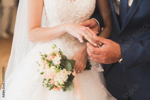 Bride and groom exchanging wedding rings. Stylish couple official ceremony