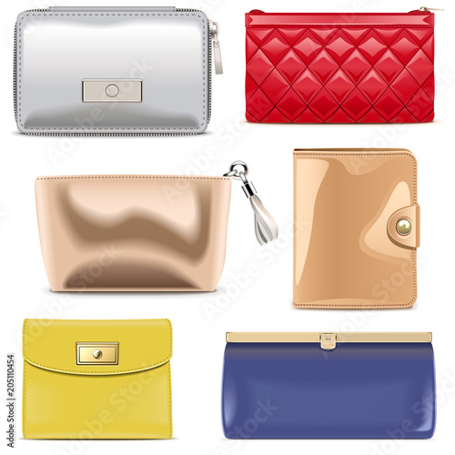 Vector Purse Icons