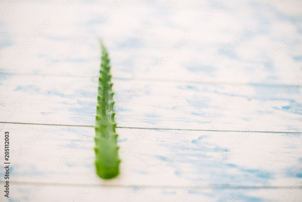Naklejka premium Green leaf of an aloe on a white wooden background