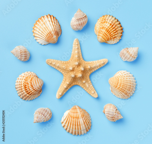 Pattern of seashells and starfish on a light blue background. Flat lay, top view