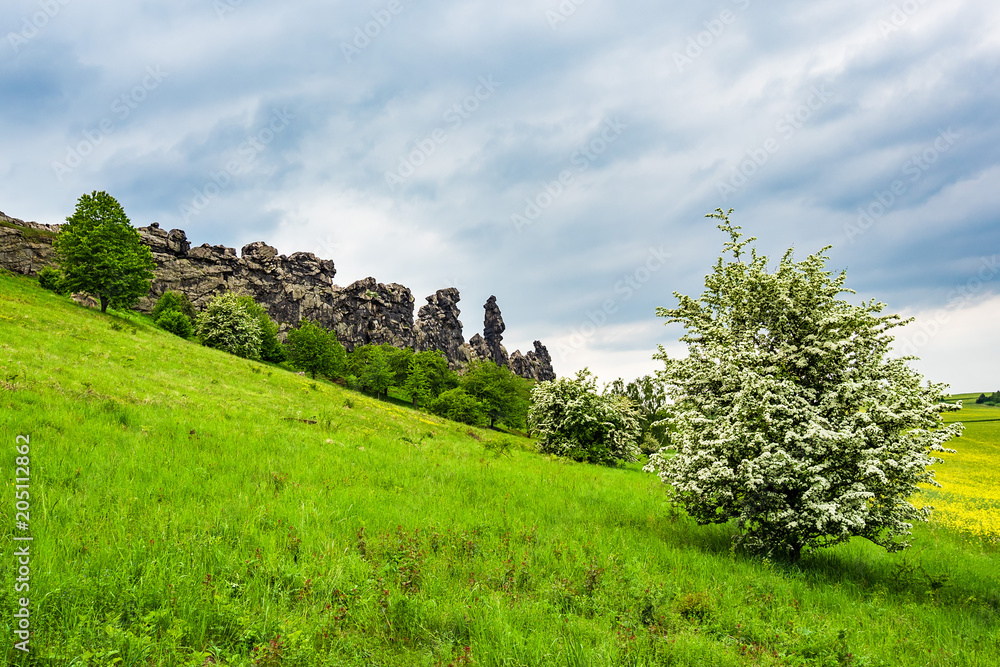 Landschaft mit Bäumen und Felsen im Harz