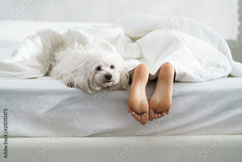 Black Girl Sleeping In Bed With Dog And Showing Feet