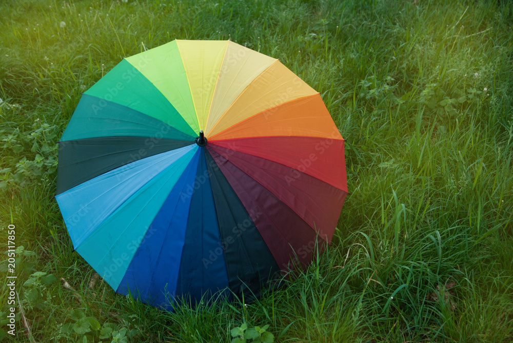 Colorful Rainbow Umbrella over a Green Grass Field Sunrisez Copy Space Spring Summer Rain