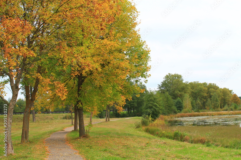 Naklejka premium beautiful nature