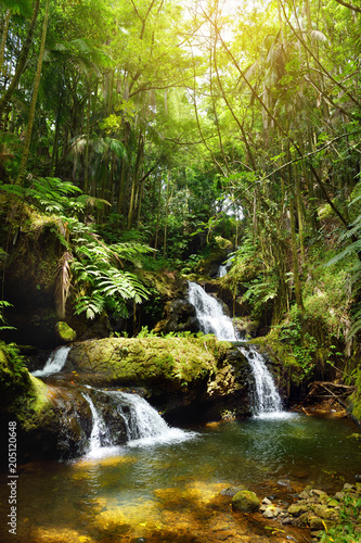 Fabulous Onomea Falls located in Hawaii Tropical Botanical Garden on the Big Island of Hawaii
