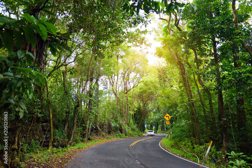 Famous Road to Hana fraught with narrow one-lane bridges, hairpin turns and incredible island views, curvy coastal road with views of cliffs, waterfalls, and miles of rainforest. Maui, Hawaii © MNStudio