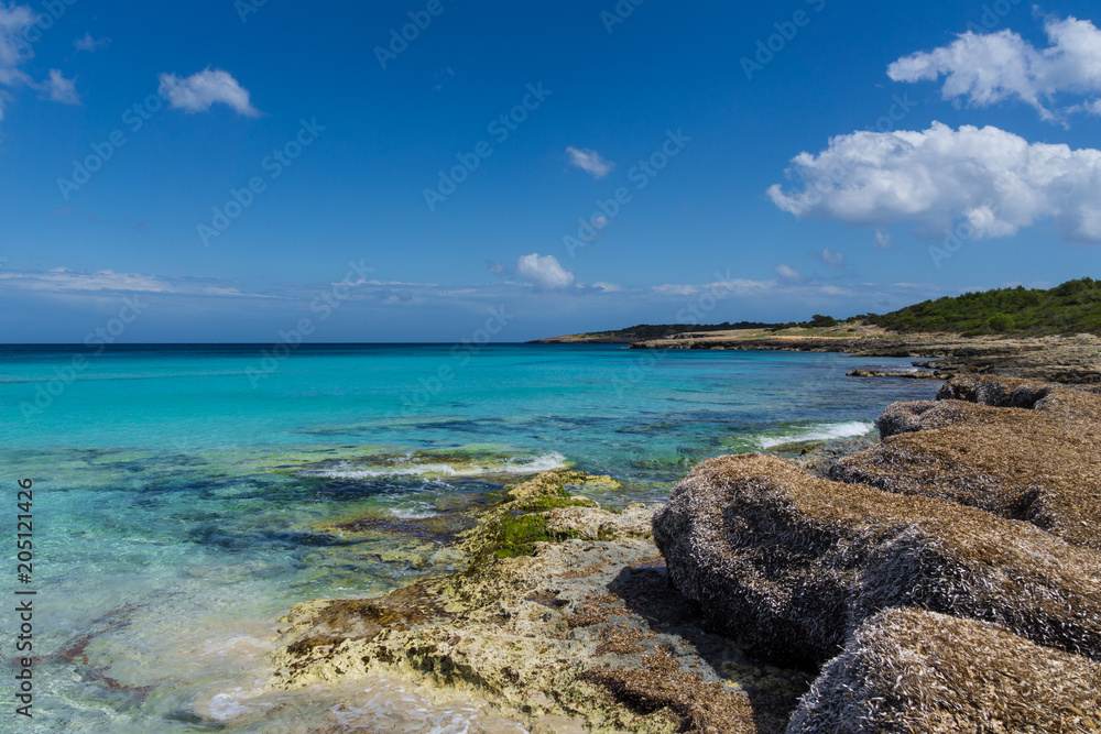 Mallorca, Stones algae and sea grass at coast of holiday island perfect for hiking Mallorca, Stones algae and sea grass at coast of holiday island perfect for hiking