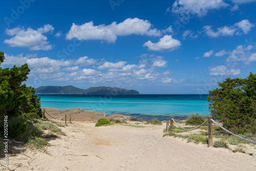 Fototapeta Naklejka Na Ścianę i Meble -  Mallorca, Sun on sand path along white sand beach in holiday region